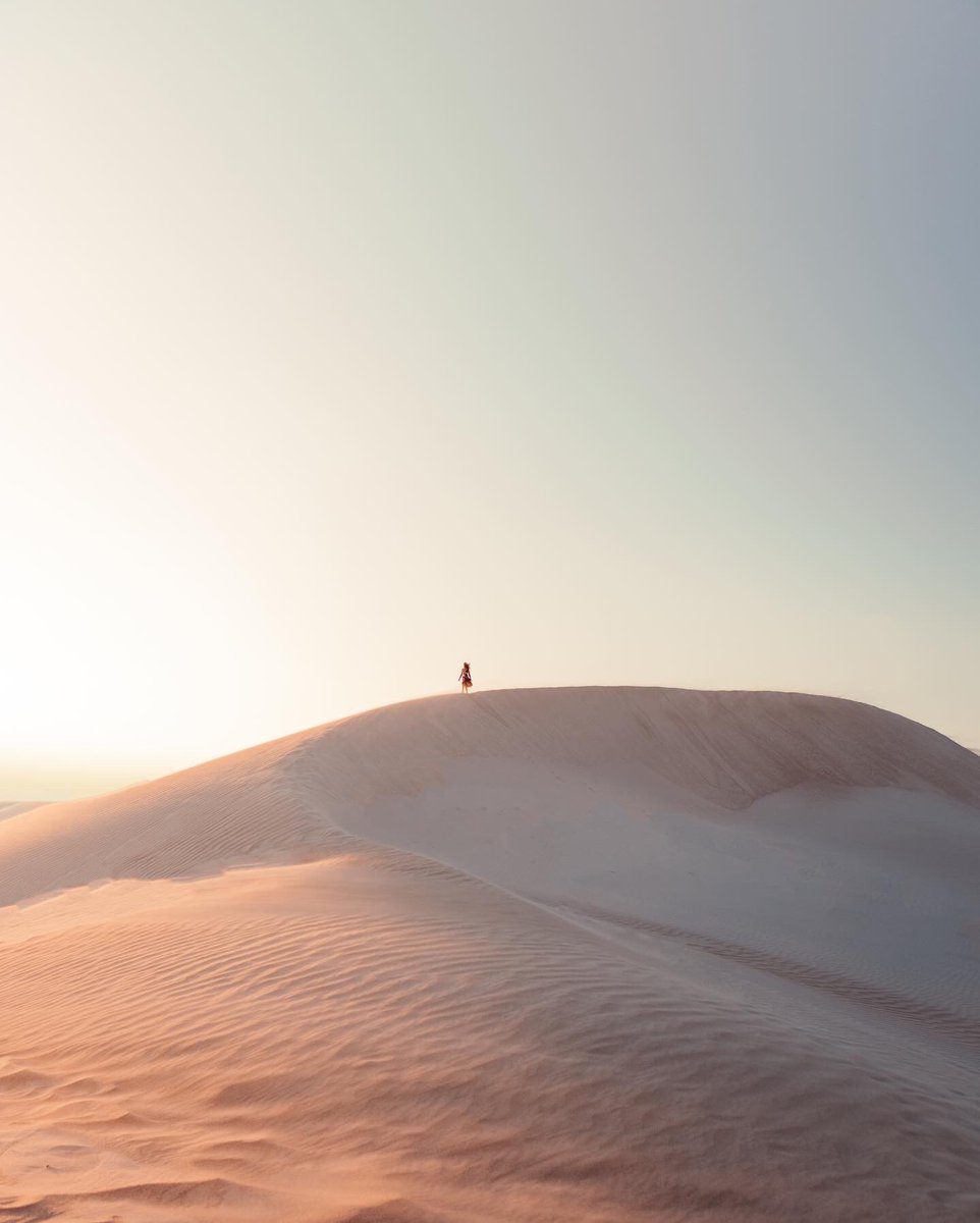 -Dune Dweller-

Couple more shots from our trip to the desert

Let me know what you guys think!

#adventure #PhotoOfTheDay #photographers #NFTs #nftphotography #NFTphotographers