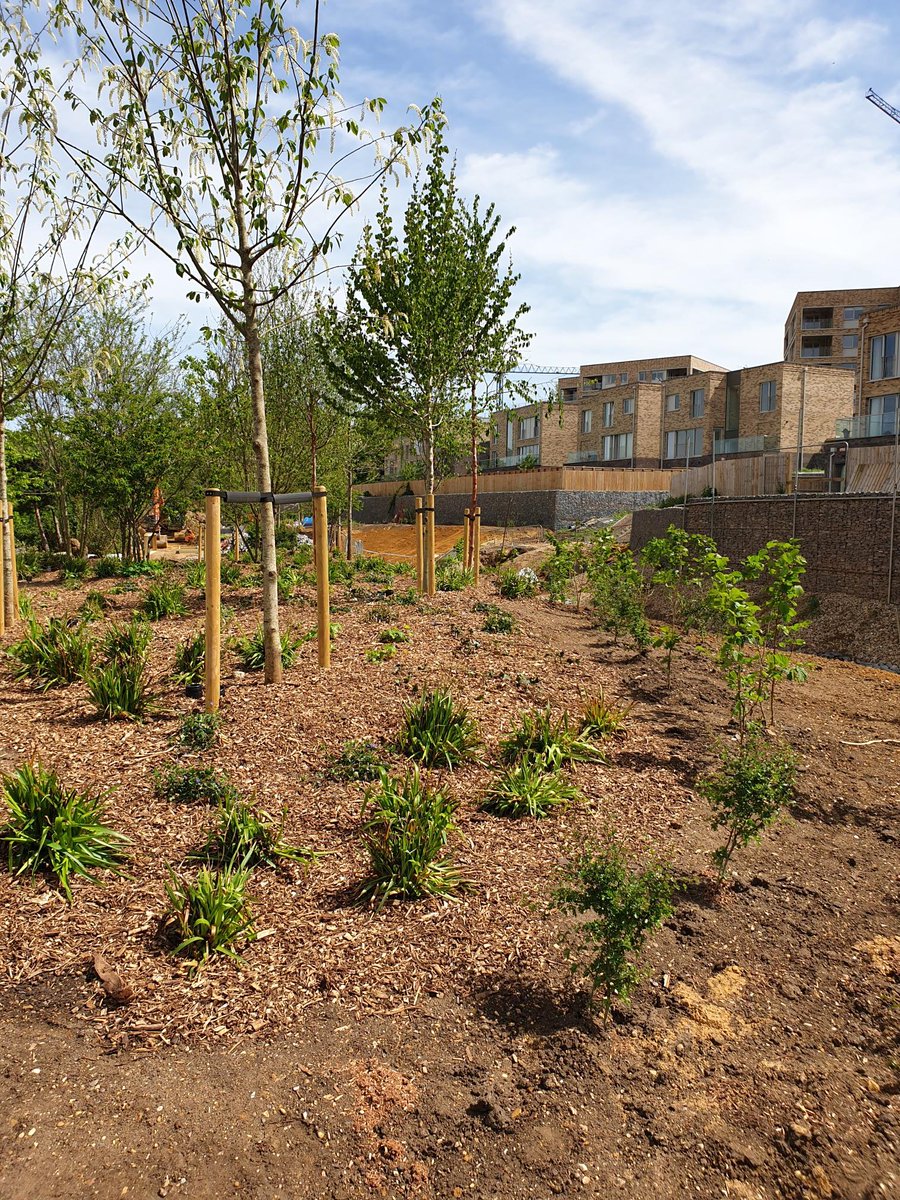 We have been very busy with landscaping at our North London project. Over 9,000 plants have been added to this space along with 17000 square metres of Cedec Path has been laid. 
#KLG #northlondon #greenspace #landscaping #cedec #path #plants #pond #london #thankyou #project