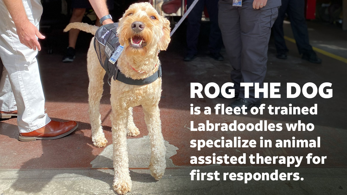 Interacting with animals has been shown to reduce the effects of PTSD and emotional distress. As part of our FirstNet Health and Wellness Coalition, our ROG the Dog program reinforces our commitment to Be There for America's first responders. 
about.att.com/story/2021/fn_…