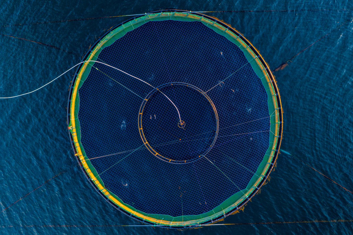 AdriAquaNet will contribute to the final session of the Summerschool FISHERIES AND AQUACULTURE IN THE BLUE ECONOMY.

Read more: italy-croatia.eu/web/adriaquane…