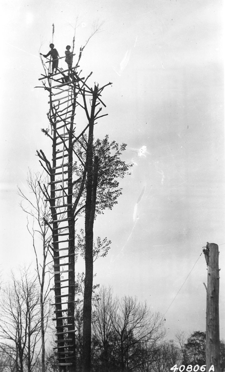 foresthistory's tweet photo. May 1919 photo of lookouts in treetop fire lookout tower, West Virginia #ThrowbackThursday https://t.co/B0KO3hTIzM
