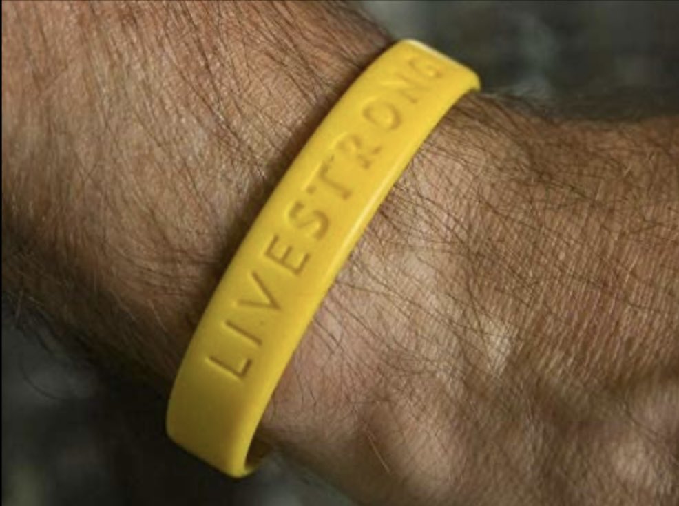 Today, on
@Livestrong Day, we honor and pay
tribute to those we have lost along
the way and those fighting thru their
own cancer battle. Your fight,
determination, and resiliency as
cancer warriors inspires us all to do
more, give more, help more. Today,
we all #Livestrong!
