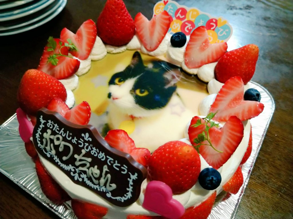 yuzutama5's tweet photo. ポワちゃん推定１才のお誕生日(仮)🥳
※ケーキは我々が美味しく頂きます🙏 https://t.co/pOiLM47lRK