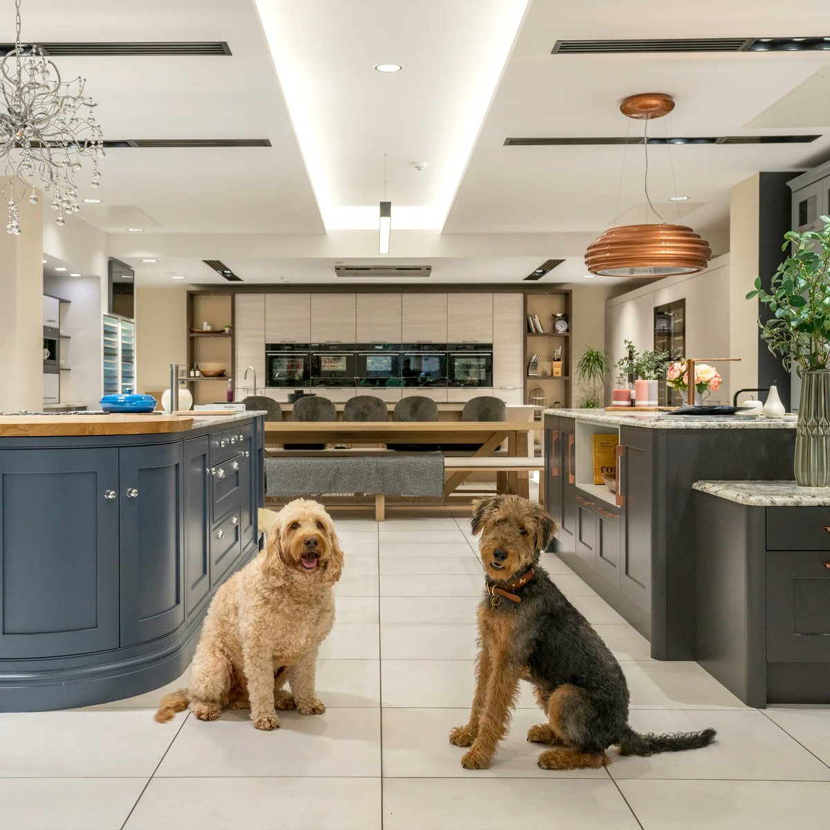 Another great way to tackle loneliness is to spend time with pets 😍 No only do animals provide us with unconditional love, but they can also offer structure. #MentalHealthAwarnessWeek Meet basil and Bingley our Caple dogs, posing in our beautiful showroom!