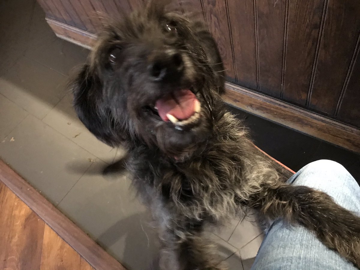 Dan Roper tweet media