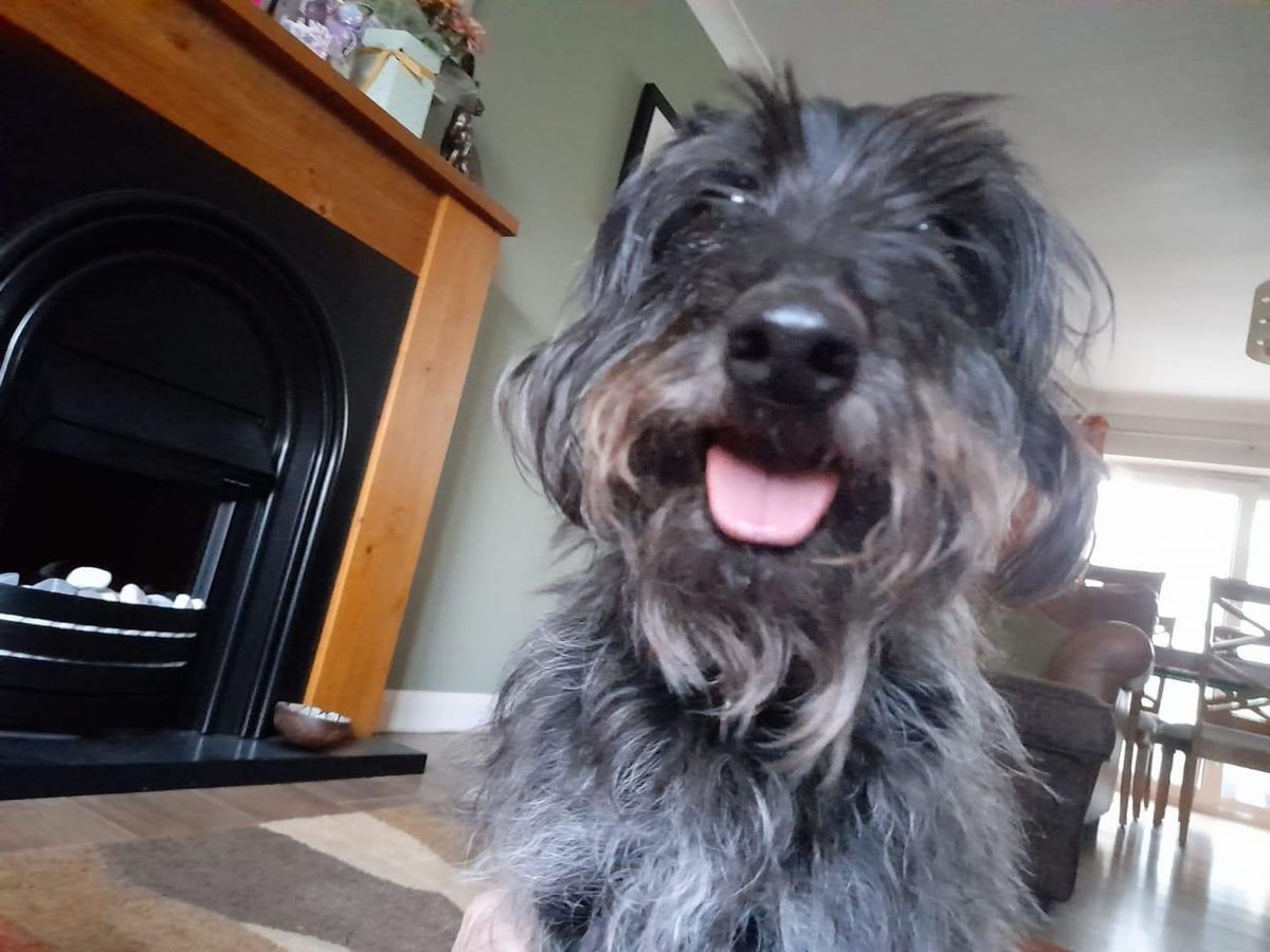 Dan Roper tweet media