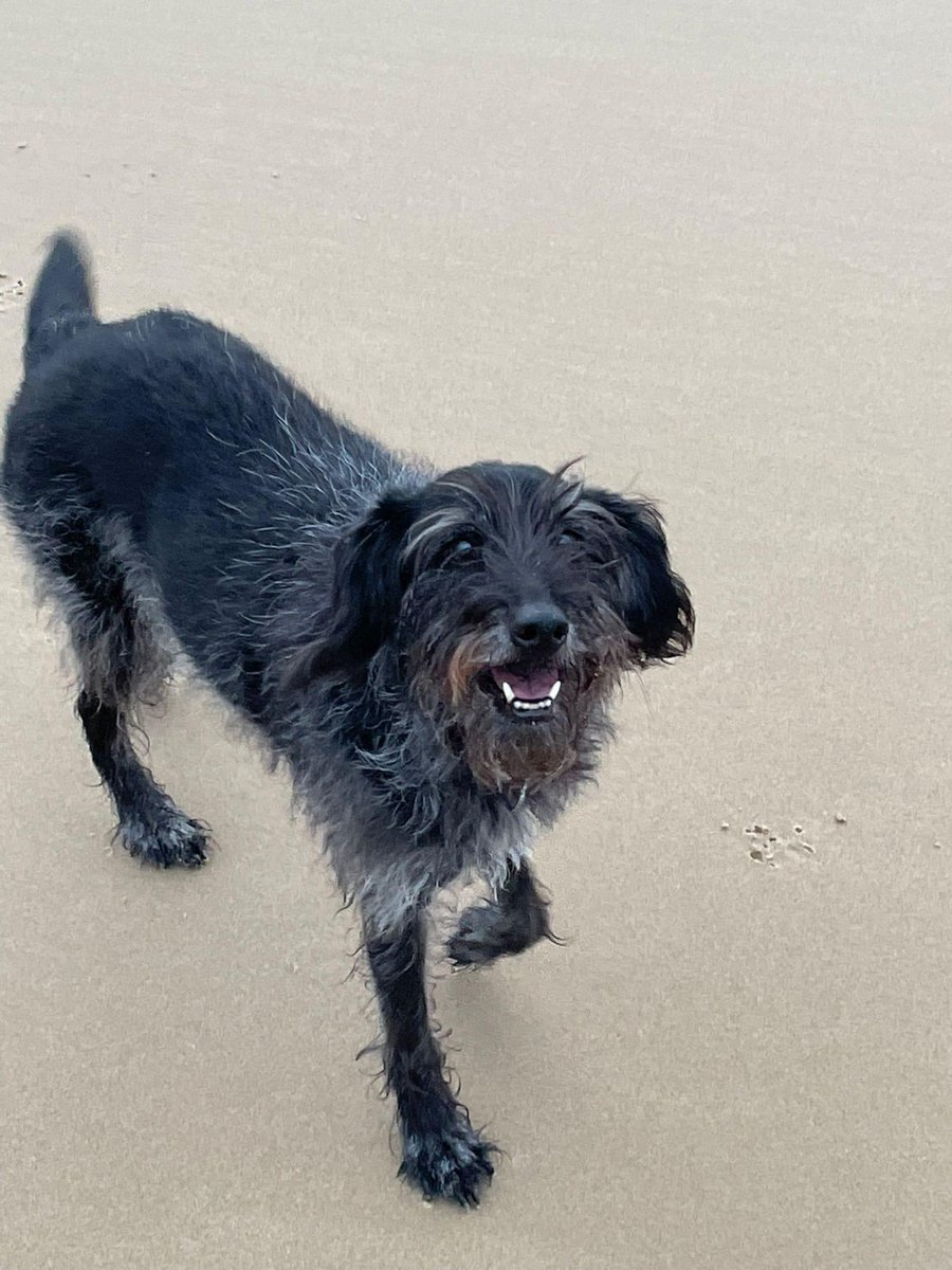 Dan Roper tweet media