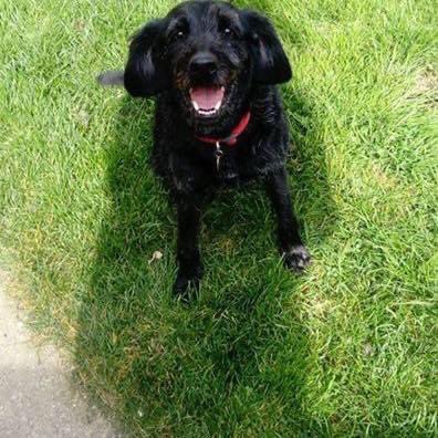 Dan Roper tweet media