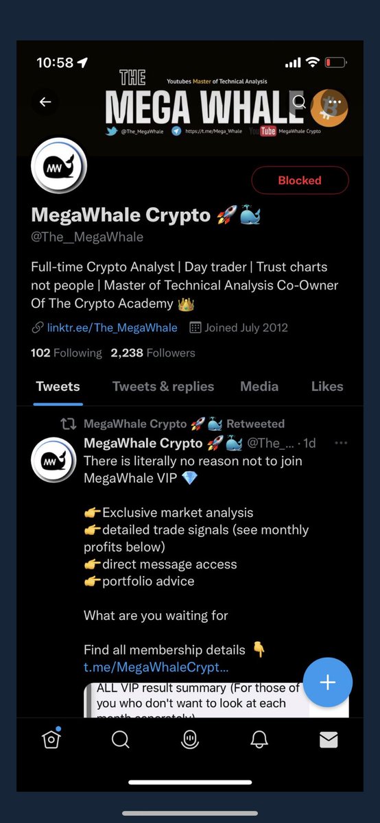 The_MegaWhale tweet picture