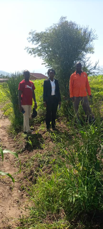 emmahbwayo's tweet image. MBALE: NRM Supporter Donates land To HE @KagutaMuseveni.

Rev. Mutenyo John Wanda resident of Lukhonje S/C donated land located behind industrial hub to President Museveni  in recognition and appreciation to what the @NRMOnline government has done. @kirunda_faruk @lindahNabusayi