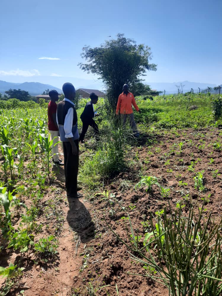 emmahbwayo's tweet image. MBALE: NRM Supporter Donates land To HE @KagutaMuseveni.

Rev. Mutenyo John Wanda resident of Lukhonje S/C donated land located behind industrial hub to President Museveni  in recognition and appreciation to what the @NRMOnline government has done. @kirunda_faruk @lindahNabusayi