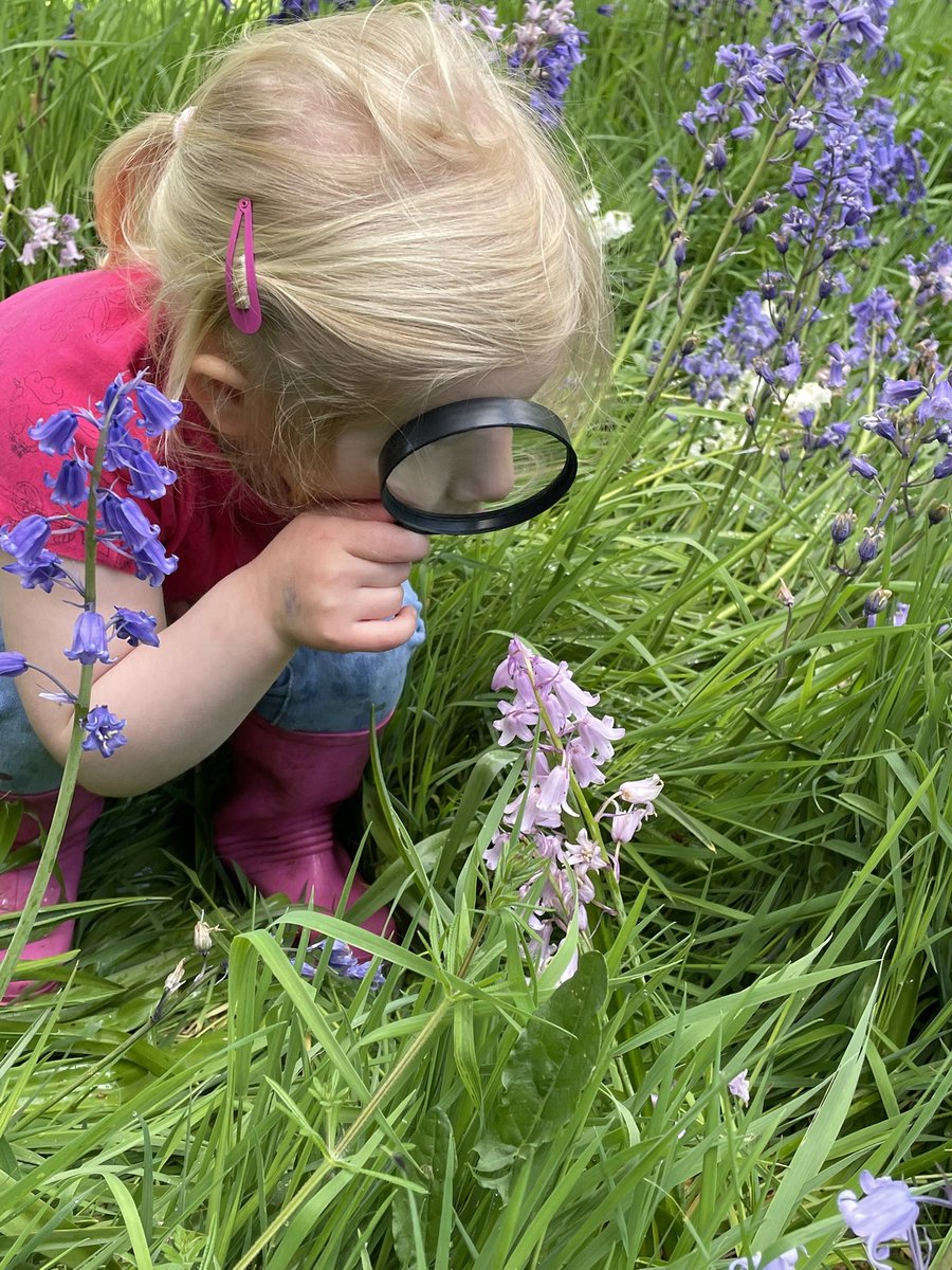 jeh345's tweet photo. @Hatfield_House beautiful day in the gardens today looking at the flowers with a magnifying glass. Thank you https://t.co/SCMgPSgcaV