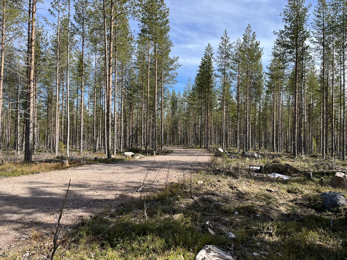 Aldrig har nog klockan gått så sakta.
Släpp pucken!