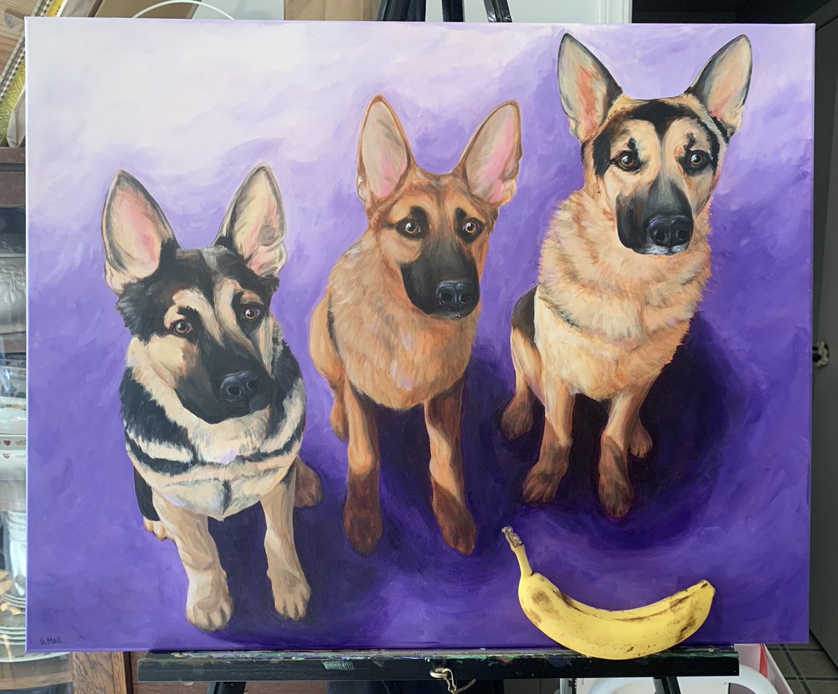 Stephanie tweet media