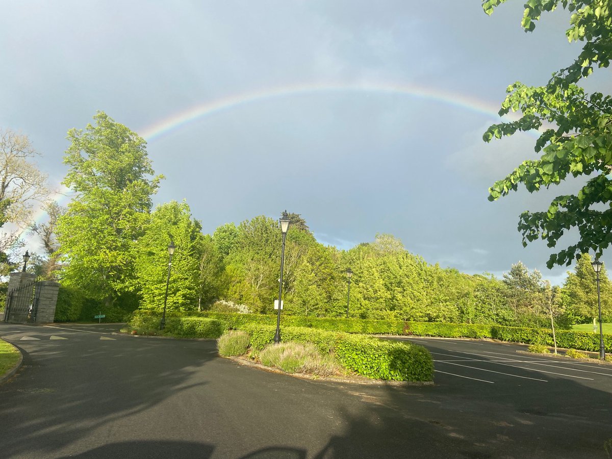 GraceGCollin's tweet photo. May 11th at seven pm! At Luttrellstown Gate, beautiful! ⁦@Luttrellstown⁩ https://t.co/7V0t93fhU4