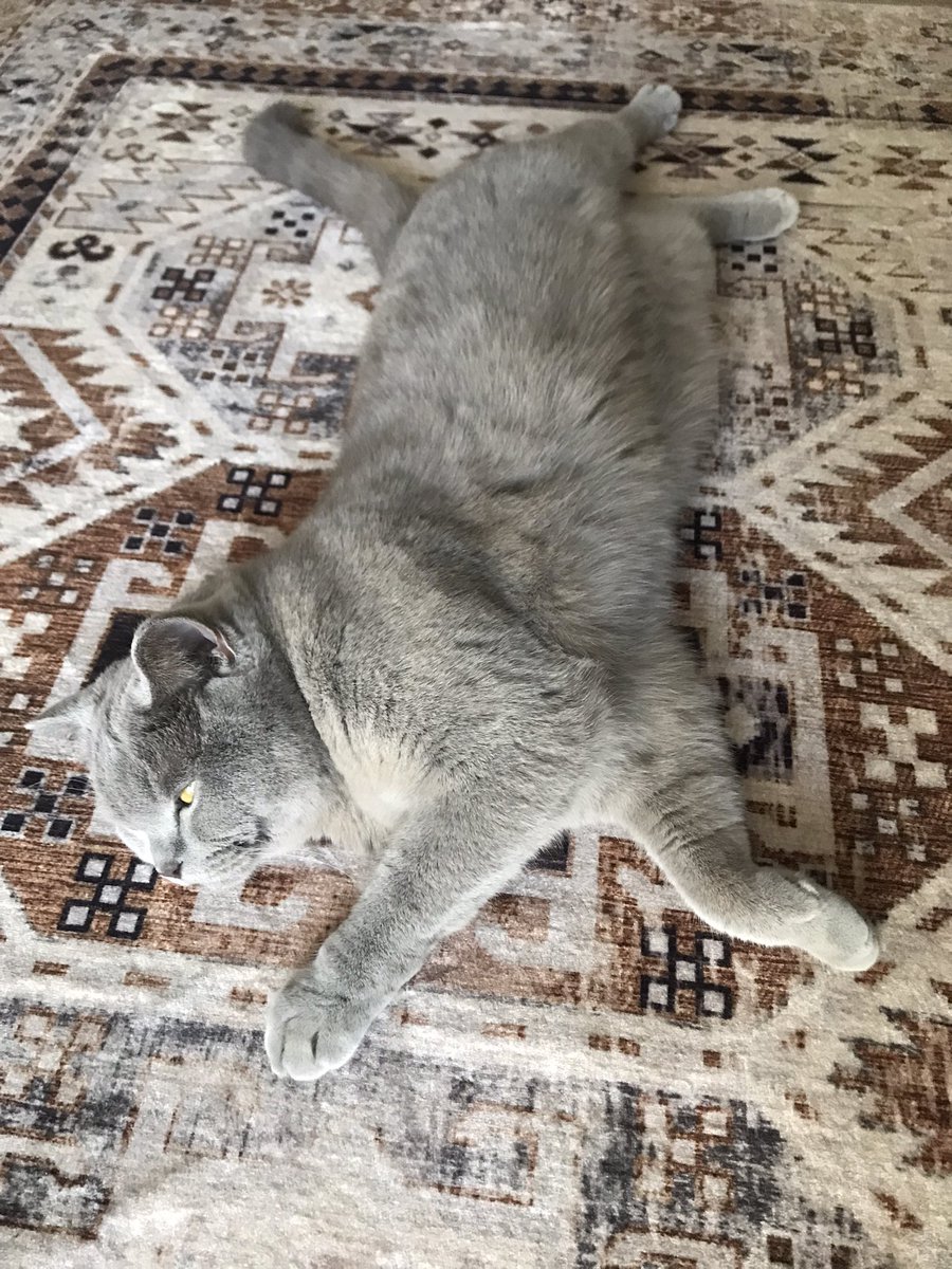 entayisi dım dım yar