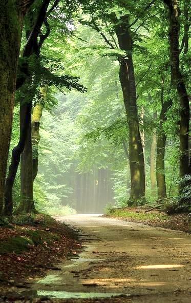 •°A distância mais curta entre dois pontos pode ser a linha reta, mas é nos caminhos curvos que se encontram as melhores coisas da vida.•°

ʟʏɢɪᴀ ғᴀɢᴜɴᴅᴇs ᴛᴇʟʟᴇs ༆