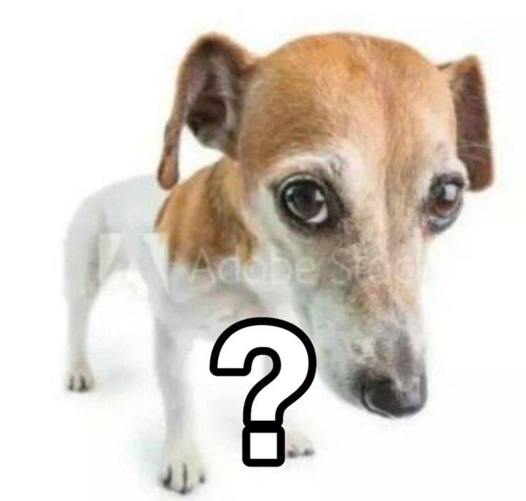 matías. (@eternlsunshinne) on Twitter photo 