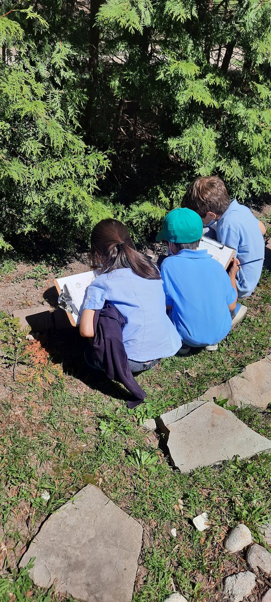 KellsElementary's tweet photo. Nature Scavenger Hunt in the garden #outdooreducation #finallyspring  #KellsProud #KellsLife https://t.co/InaQJW7jH8