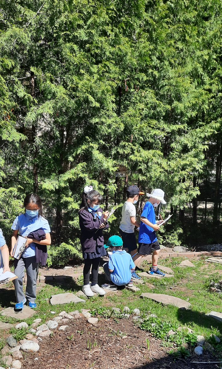KellsElementary's tweet photo. Nature Scavenger Hunt in the garden #outdooreducation #finallyspring  #KellsProud #KellsLife https://t.co/InaQJW7jH8