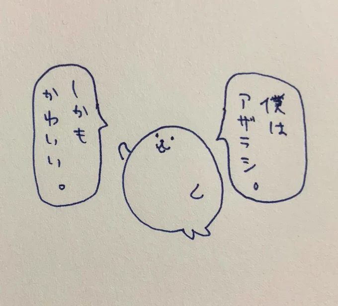 アザラシ。 