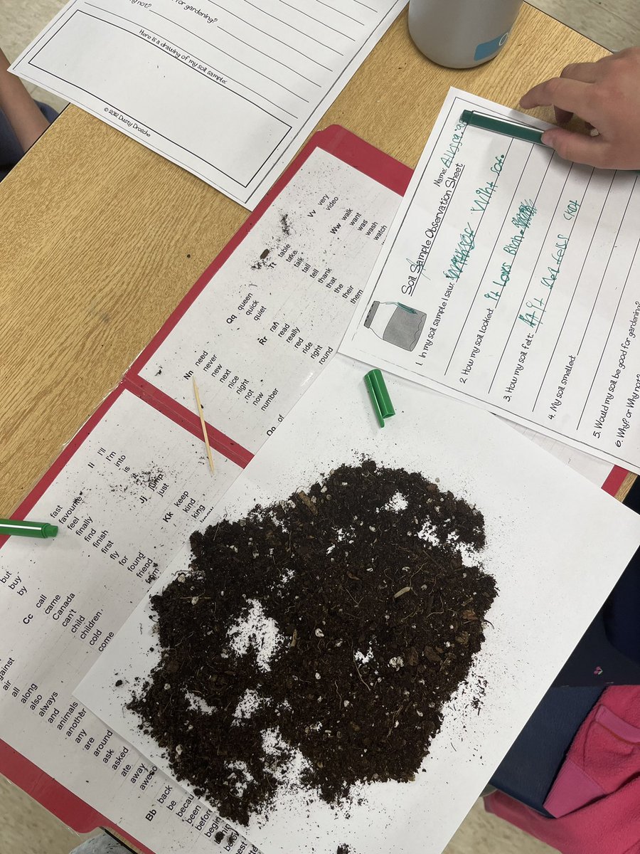 MsPenumarthy's tweet photo. 3-1 getting their hands dirty @MCKSmithBennett learning about soil composition! @HaltonDSB #scientificinquiry 🪴 https://t.co/AuPtyA7bBQ