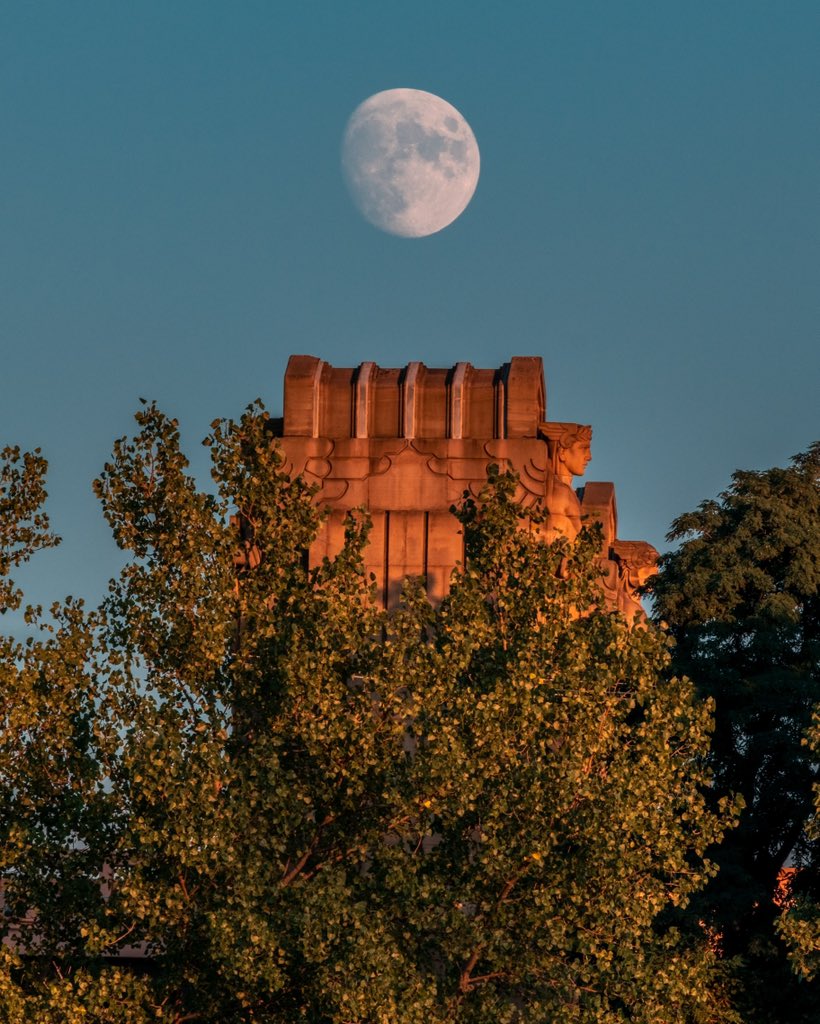 Gabe Wasylko tweet media