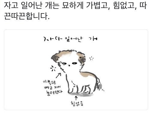 mxdxp_81's tweet photo. ㅠ https://t.co/ptViaJhXZU