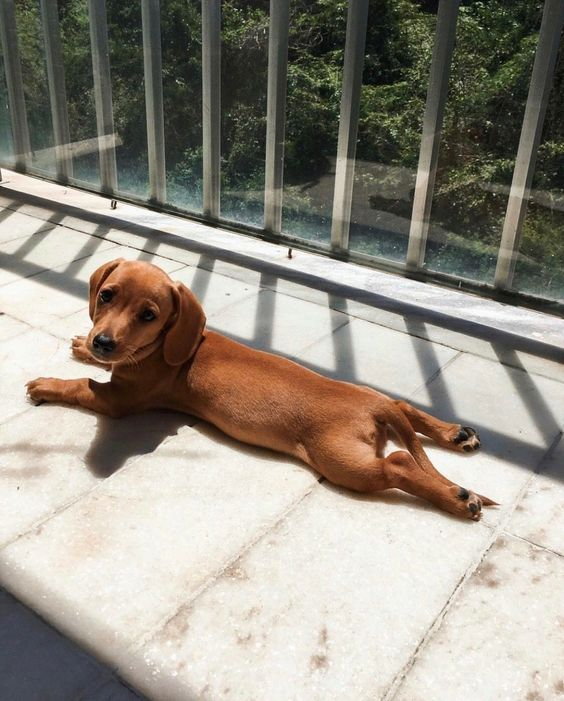 salsichinhas's tweet photo. Mantendo o bronze 🌞 https://t.co/WkR6zk5qEa