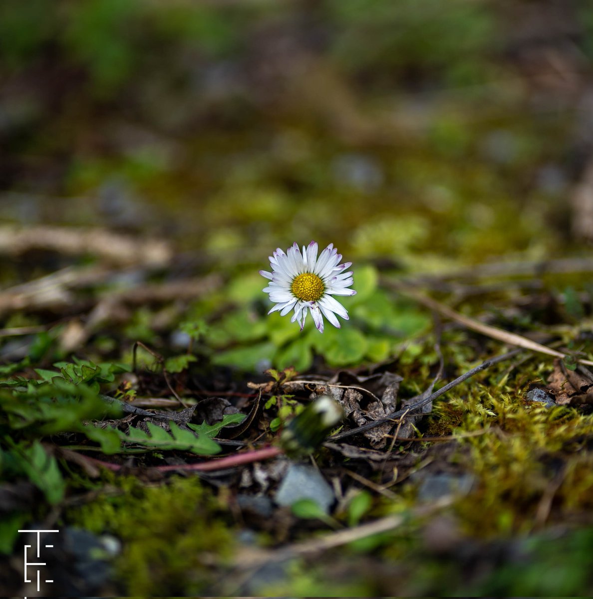 EvanTideswell's tweet photo. I m going to start posting my #photography here on my Twitter profile 🙂 hope u like it. https://t.co/EgYMPnBbsY