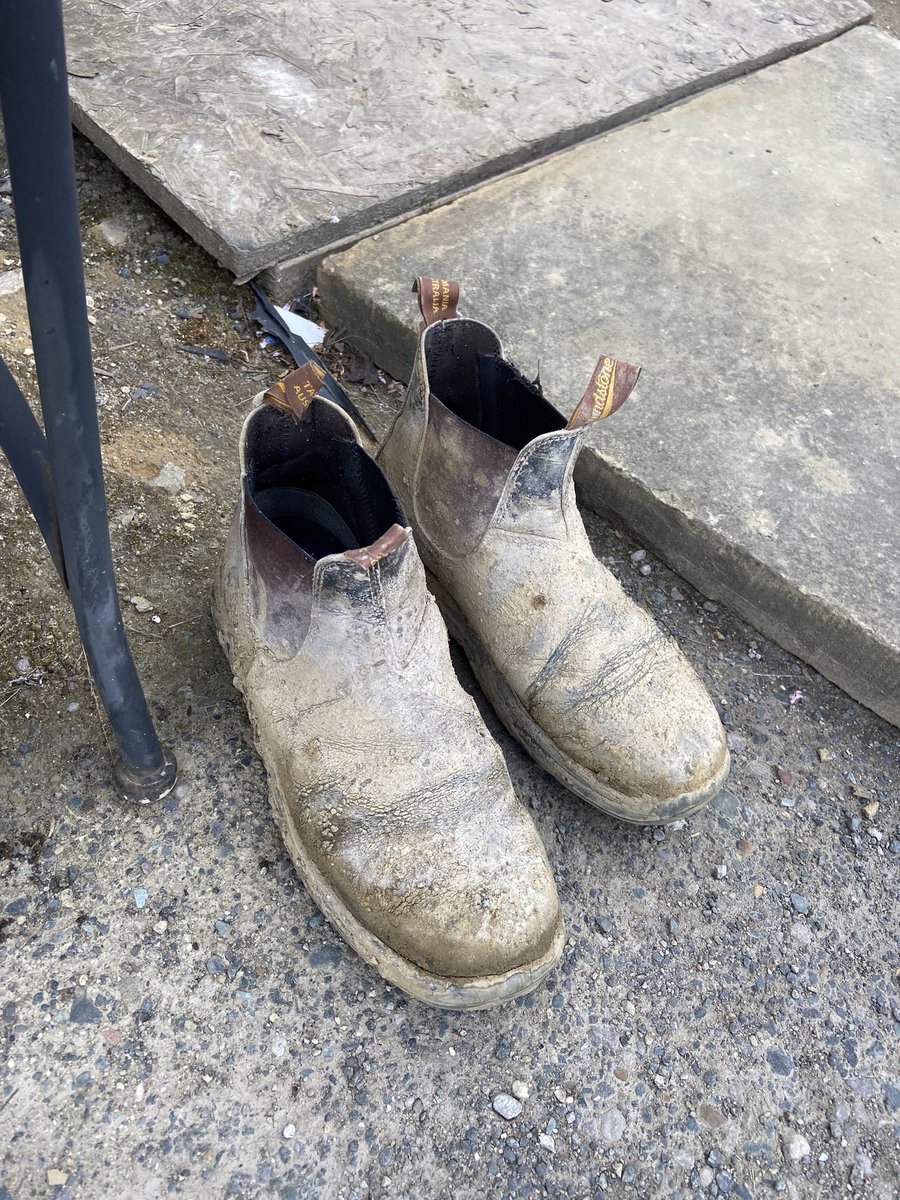 benjaminhopton's tweet photo. @holgate177 @Georgehindle46 @davidmchardyy @TheWatchWanker @Nike This is what a proper man’s shoes look like, probs do more than 10k a day in them as well. #16hourshift https://t.co/MFRjjLCvcY