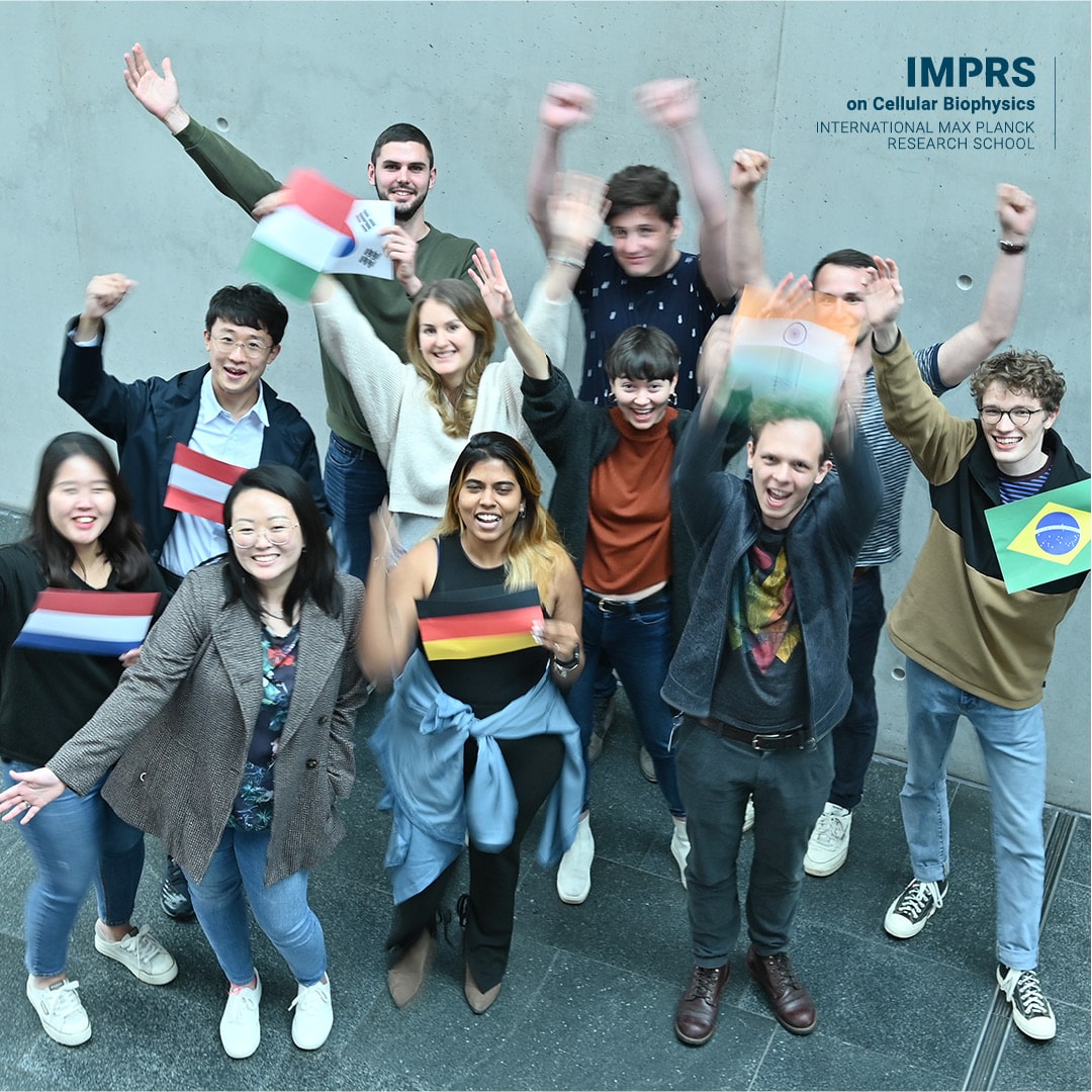 imprs_cbp's tweet image. What do we offer? #keyfeature 9: Even before program start, we organize get-to-know-events for our #phd students. During their #phdjourney, they jointly participate in seminars, courses &amp;amp; social events that strengthen the #phdcommunity. @MPIbp @goetheuni @uni_mainz @fias_science