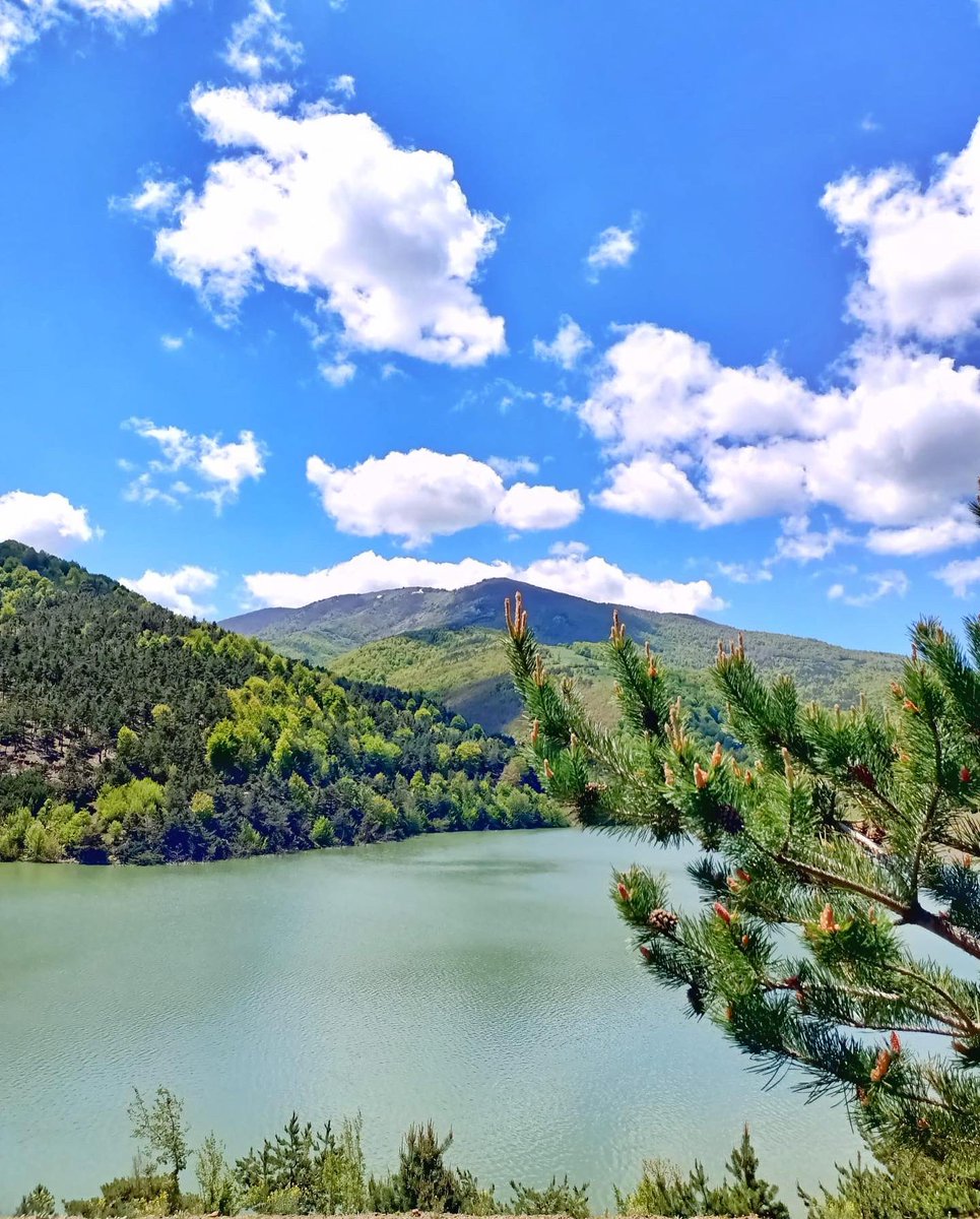tokatadair's tweet photo. Ne bilsin, o hiç Tokat’a gelmemişki.. 
📍Çatak yaylası / Almus https://t.co/SzcYmYyaKF