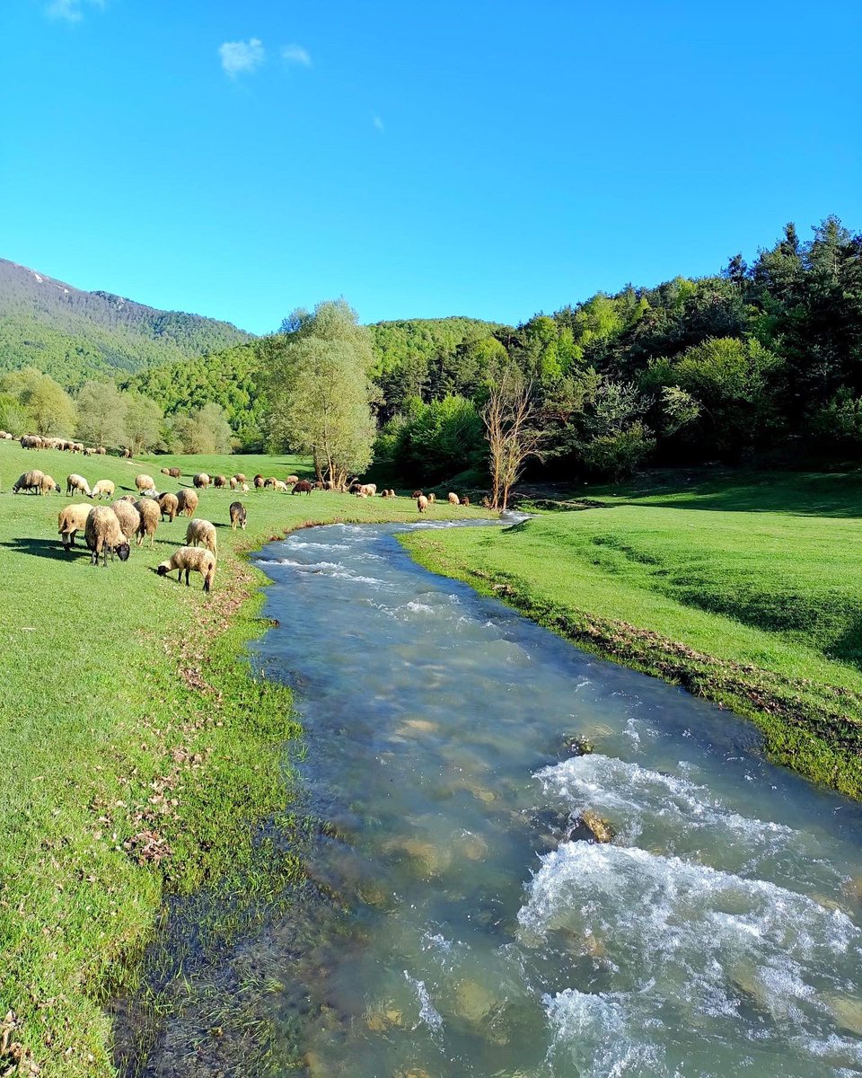 tokatadair's tweet photo. Ne bilsin, o hiç Tokat’a gelmemişki.. 
📍Çatak yaylası / Almus https://t.co/SzcYmYyaKF