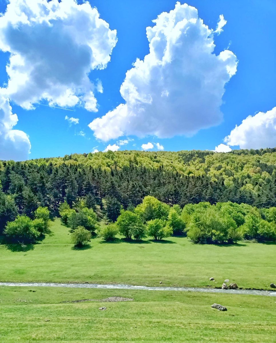 tokatadair's tweet photo. Ne bilsin, o hiç Tokat’a gelmemişki.. 
📍Çatak yaylası / Almus https://t.co/SzcYmYyaKF