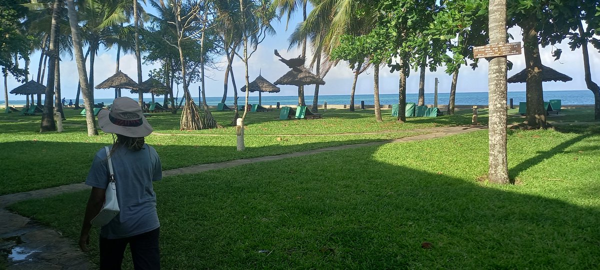 EllyanneCGithae's tweet photo. Just landed. 🌊 🐋 🐳 Conservation loading with amazing & passionate environmentalists @WakioDorcas at the coast of Kenya #MangroveRestoration @Rotary @rotary9212 @UNBiodiversity look out for #TechnologyForConservation @CWN_ORG going global 🌳🌳🌳🌍🌏🌎 https://t.co/I4BH6jFMZl