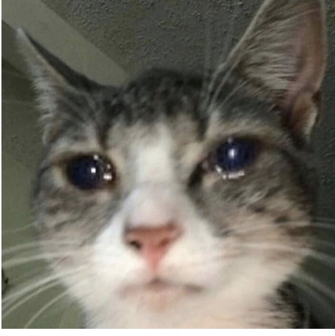 It's really sad…..