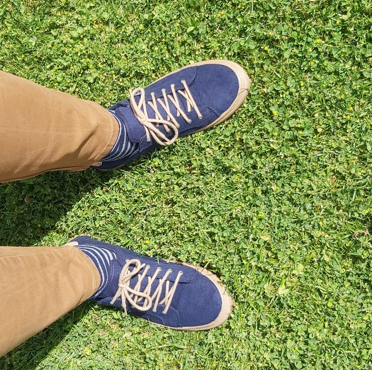 AlvaritoSA's tweet photo. Ayer llegaron mis @timpersbrand #DarkForest. Estoy encantado. Comodísimas, chulas y con cordones de dos colores para ir variando. Y encima con #descuento por ser el último en llegar a #LaFamiliaMásNormalDelMundo. ¡Absolutamente recomendables! https://t.co/q5ygC6NUxu