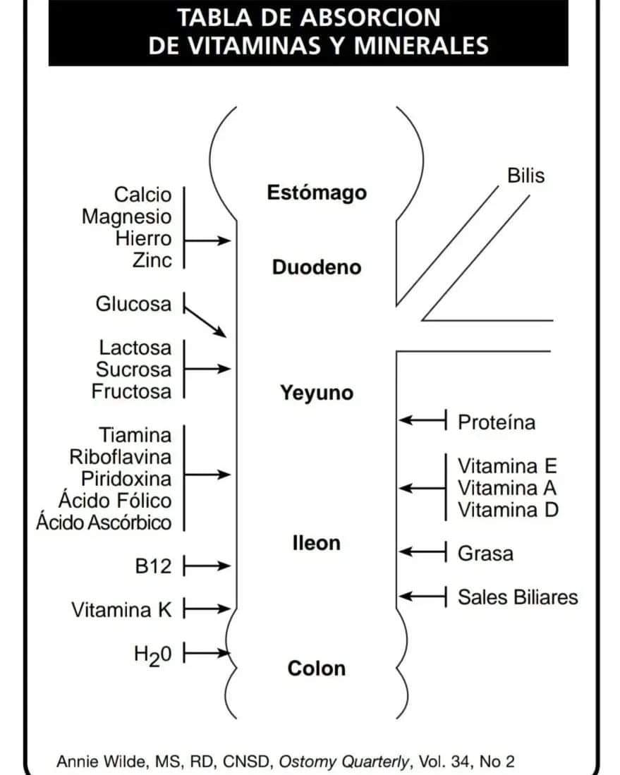 medicosergio's tweet photo. #Repaso
Medicina / Nutrición https://t.co/ygJdUPQvkv