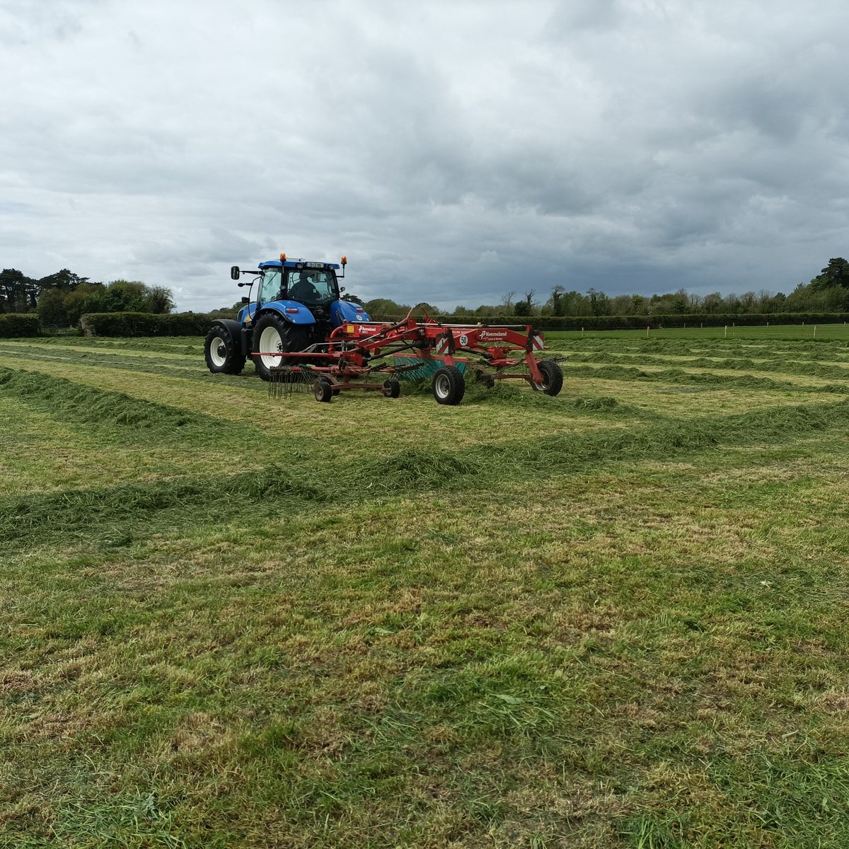 Jonny_H2018's tweet photo. Surplus PRG and Multi-species swards cut yesterday, hopefully will make some nice quality silage for the winter! https://t.co/TvjsGsa0d5