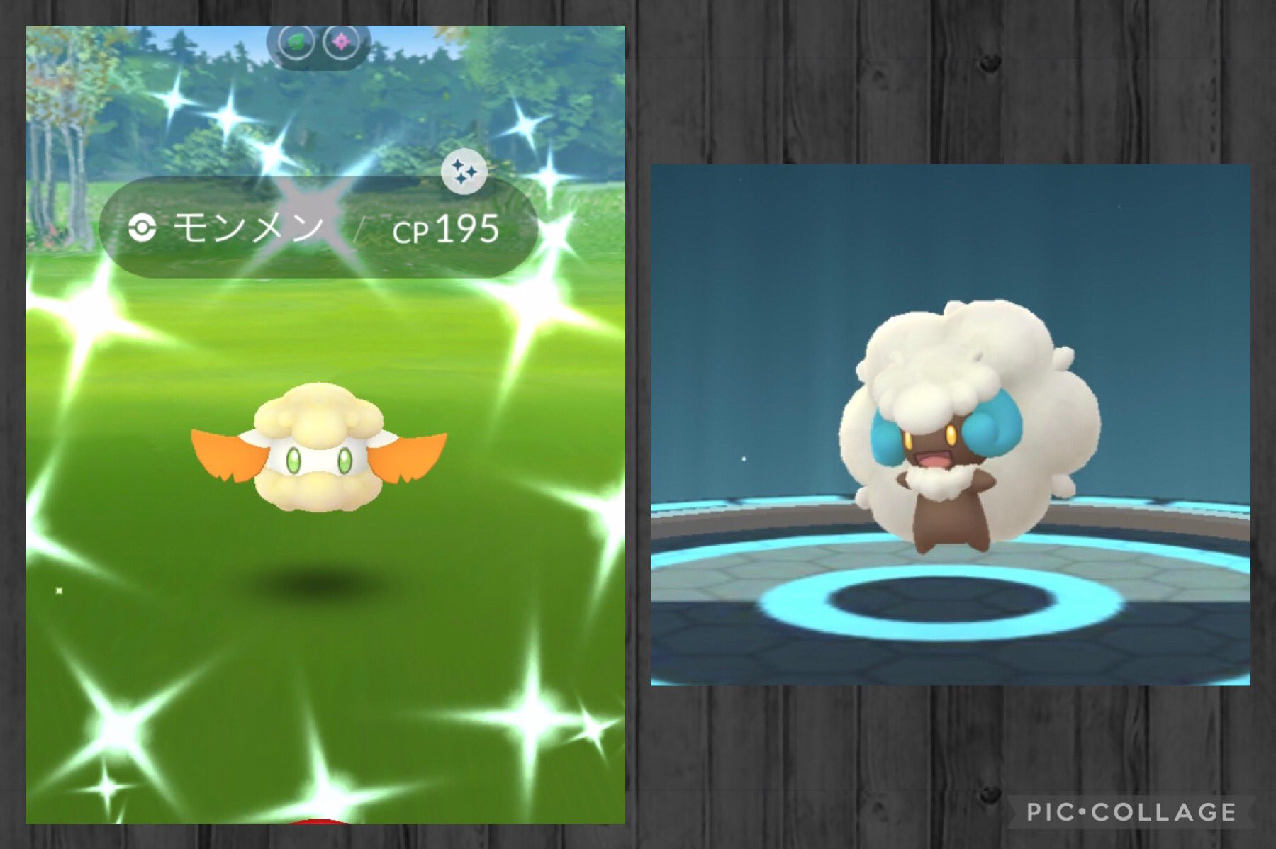 Akko ポケモンgo 夏みかんさんありがとうございます モンメン来ますようにっ Twitter