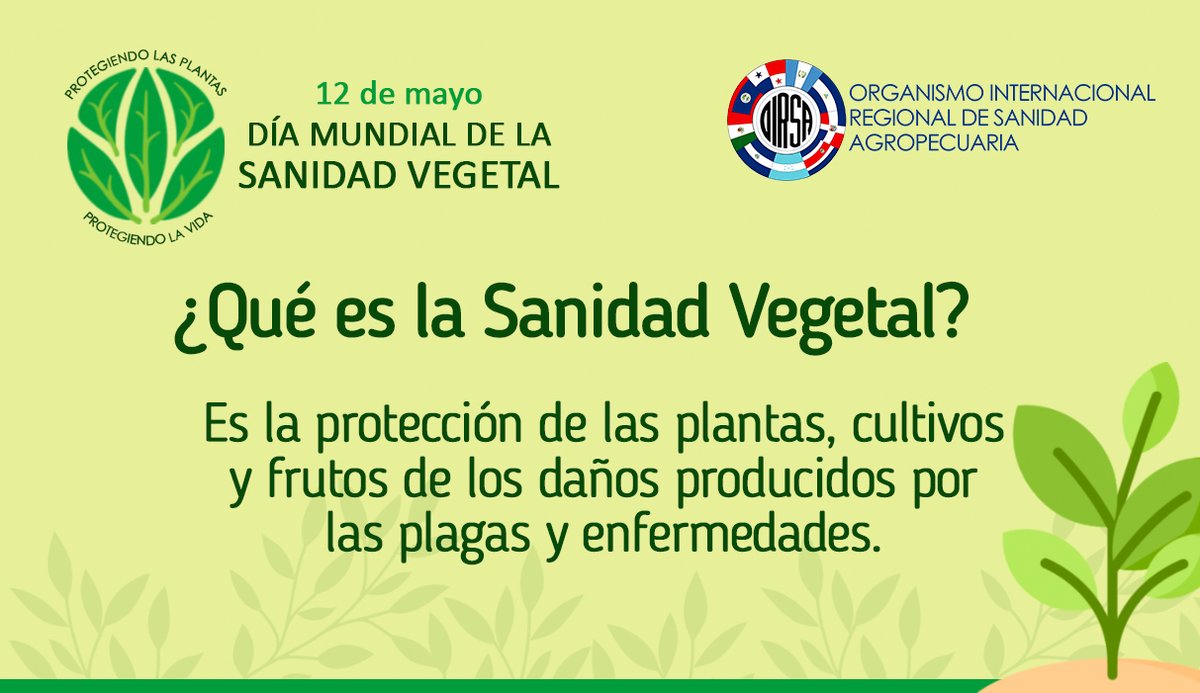 OIRSAoficial's tweet photo. ¡Hoy conmemoramos el Día Mundial de la #SanidadVegetal! 🌱 

✅8 de cada 10 alimentos que comemos vienen de las plantas y más de 2,000 tipos de plantas son utilizadas como alimento en el mundo.  

Proteger las plantas es proteger la vida 🌳🌴🌿🍃 https://t.co/EFMWiSfIIy