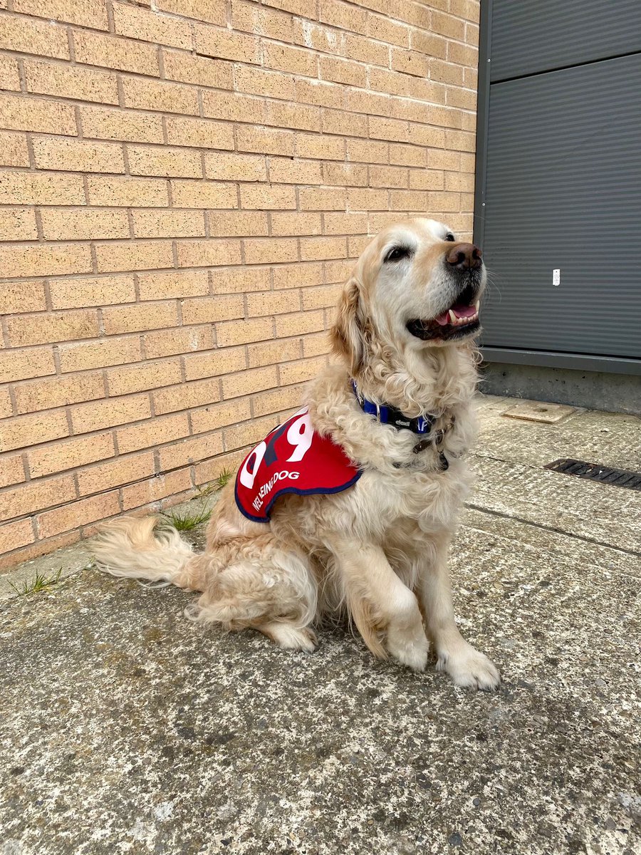 WD_Whispa's tweet photo. A busy morning at York Police Station for Whispa, now for an afternoon meeting the crews at Huntington Fire Station #wellbeingawarenessweek @NorthYorksFire @CCNYP @OscarKiloNine @fire_huntington https://t.co/VUlHcPXuoo