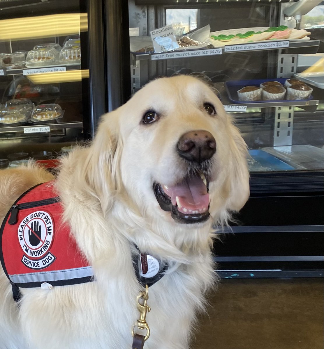 sampson_dog's tweet photo. The bakery we go to made me special peanut butter doggo treatos! It was a surprise! For me! Peanut butter treatos! My happy just can’t be contained! https://t.co/WIQoeKP5Dz