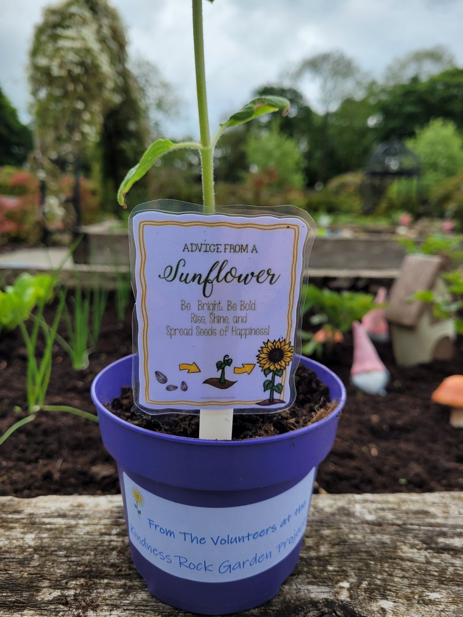 Volunteer Centre tweet media