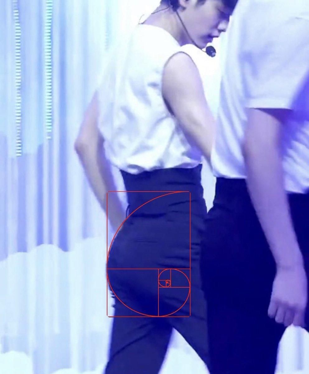 Here is the mathematical confirmation that Soobin has a perfect ass.