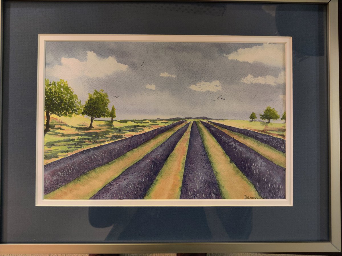 Delonna Halliday tweet media