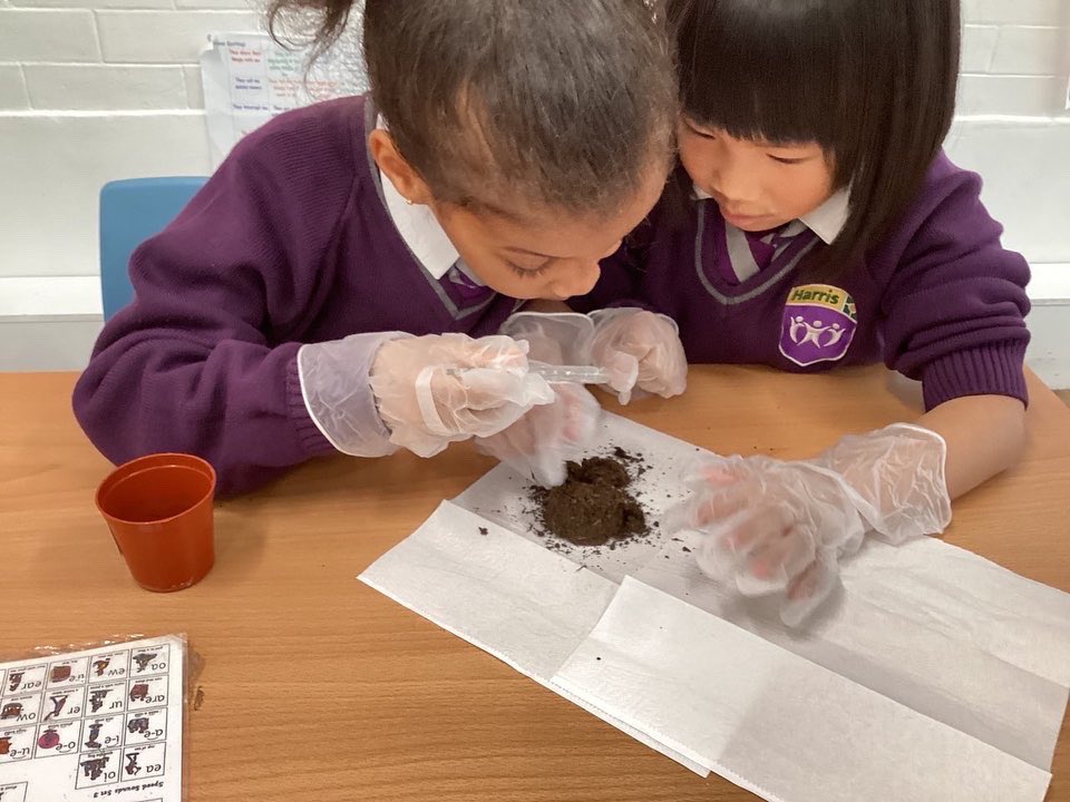 HPA_Philip_Lane's tweet image. Our #HPAPLYear1 scientists have been hard at work this week making new discoveries! You can read all about their observations in the newsletter tomorrow! 🌱