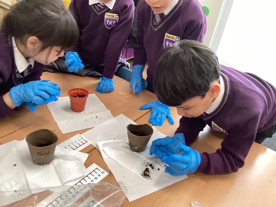 HPA_Philip_Lane's tweet image. Our #HPAPLYear1 scientists have been hard at work this week making new discoveries! You can read all about their observations in the newsletter tomorrow! 🌱