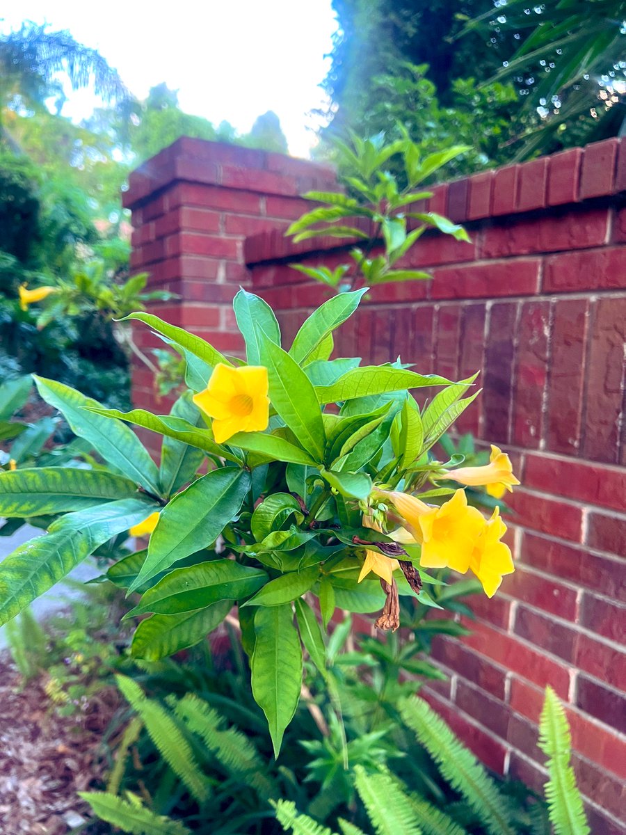 A great birthday gift this year: a proposal Chris and I submitted last fall got funded from NHF!